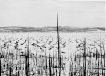 Tunguska meteorite damage, Siberia