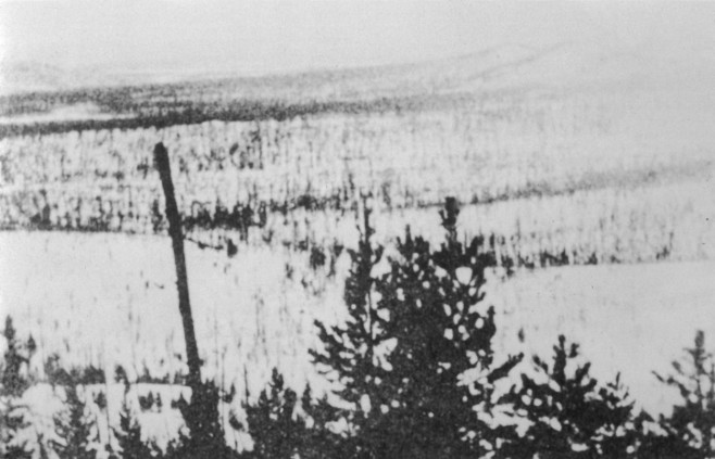 TUNGUSKA DESTRUCTION