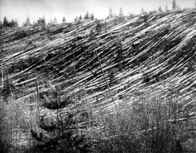 Tunguska Forest flattened by blast. 1908 event