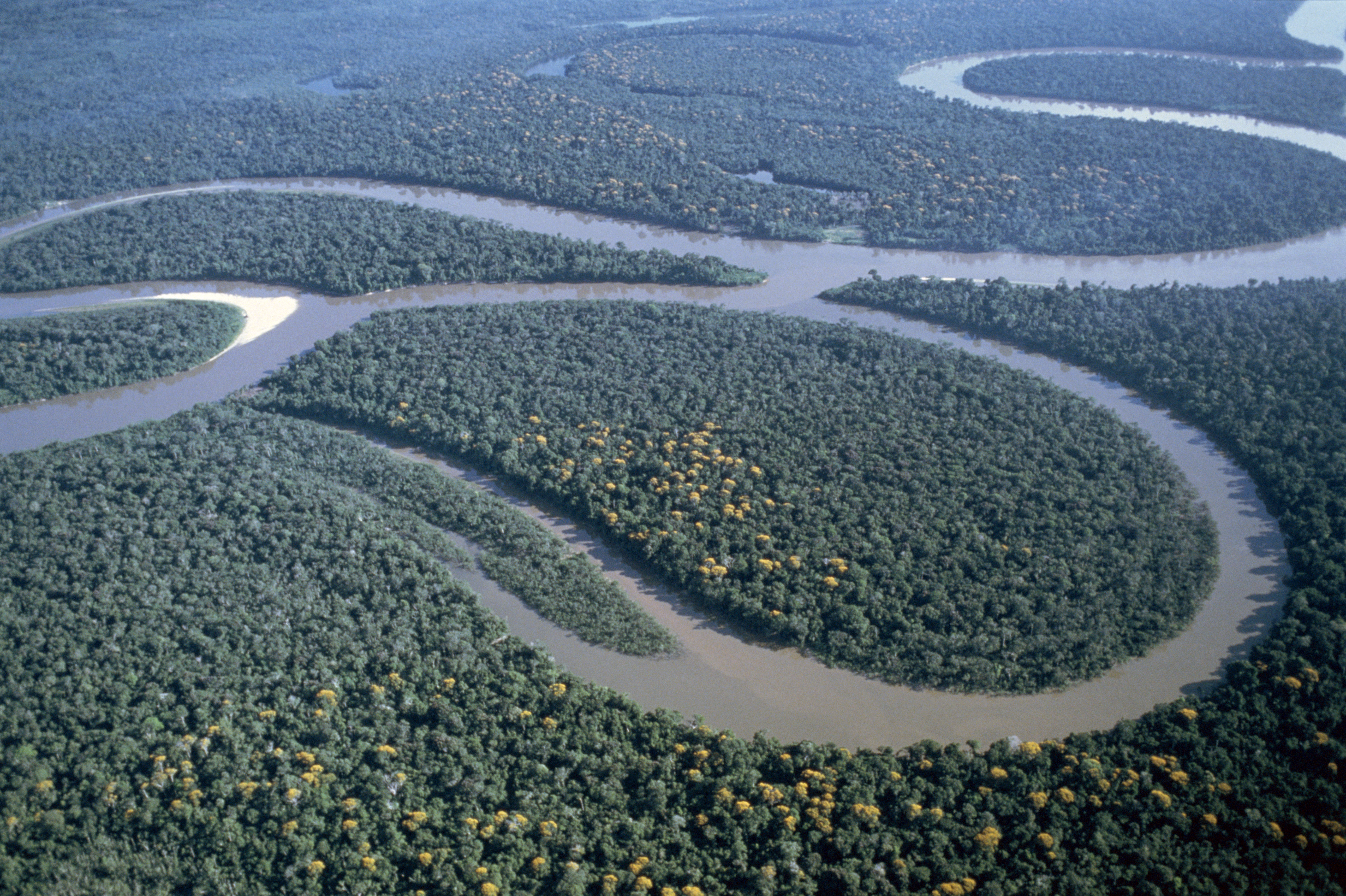 Nilul sau Amazonul? Dezbaterea veche de zeci de ani ar putea lua sfârșit în 2024