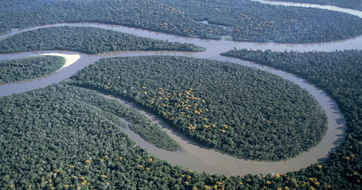 Nilul sau Amazonul? Dezbaterea veche de zeci de ani ar putea lua ...