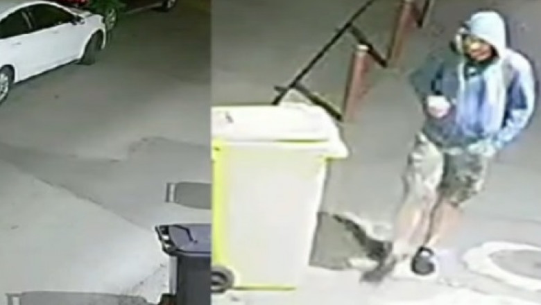 Suspectul din cazul dublei crime de la Timișoara a fost prins