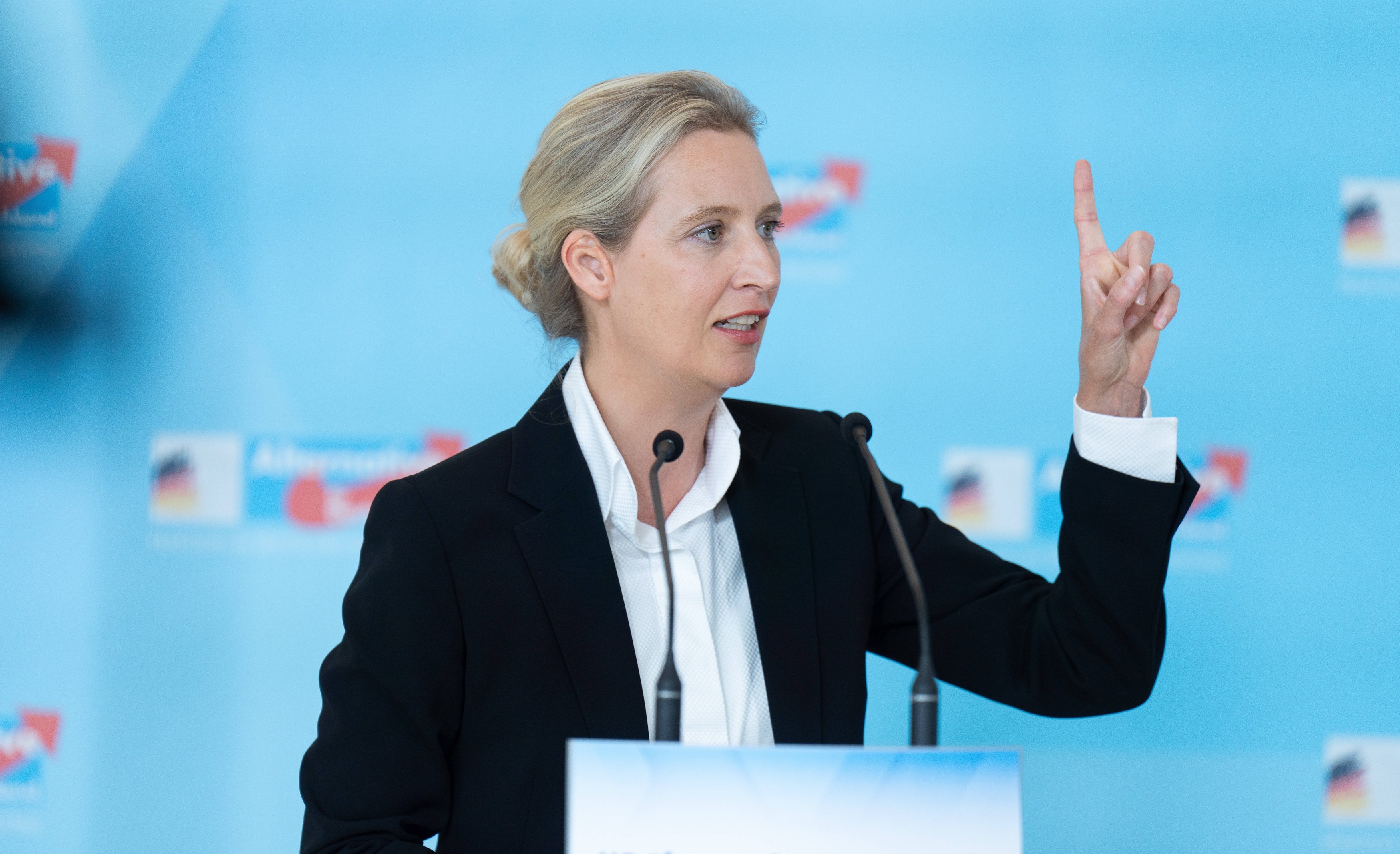 Alegeri în Germania: Alice Weidel își laudă „rezultatul istoric” obținut de AfD și propune o alianță cu CDU