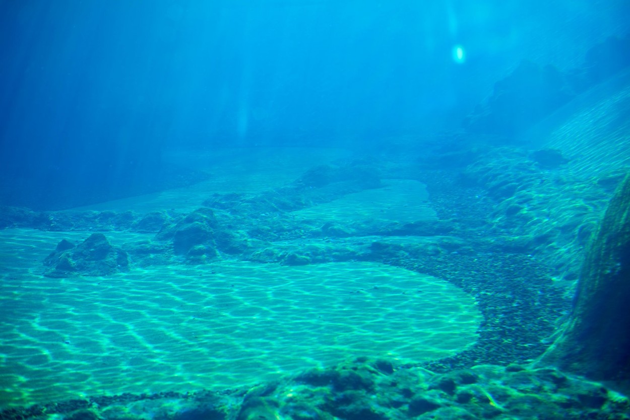 Cât de adânc este oceanul planetar: Exploratorii au coborât până la 11.000 de metri