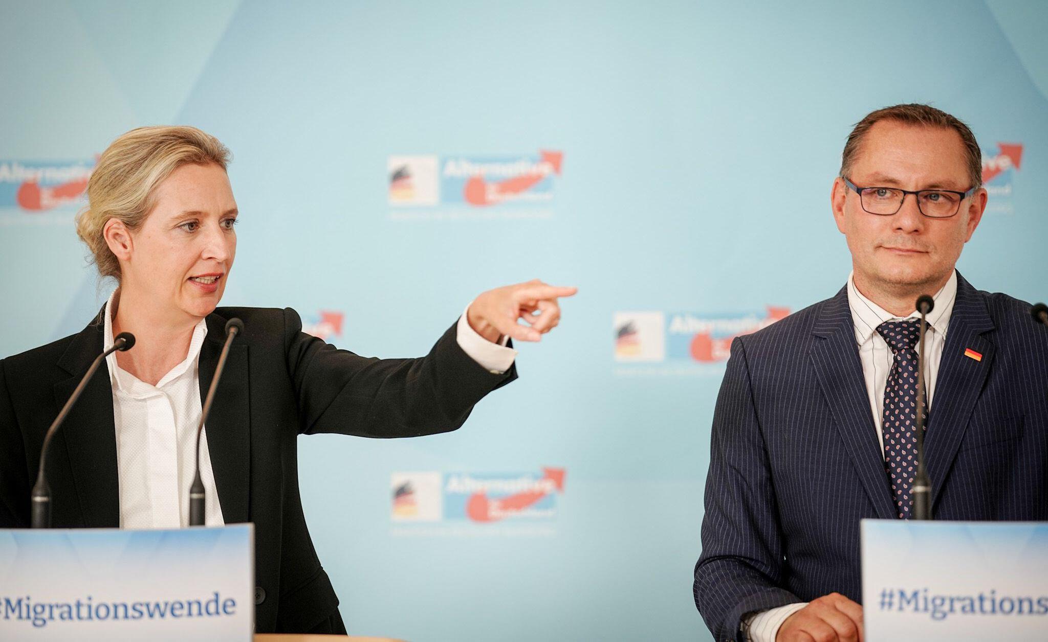 Liderii AfD se plâng că şeful Serviciului german de informaţii interne denigrează partidul când afirmă că răspândește ură