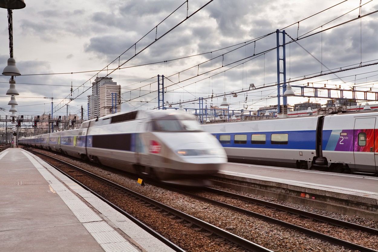 Compania căilor ferate din Franța a fost amendată pentru că un tren a călcat o pisică
