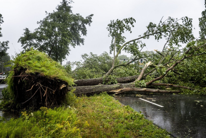 First Summer Storm Poly Since 2020 - a Fact, Harlem, Netherlands - 05 Jul 2023