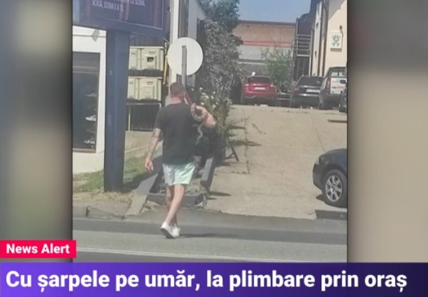 Un tânăr din Târgu Jiu a ieșit cu un piton la plimbare, prin oraș