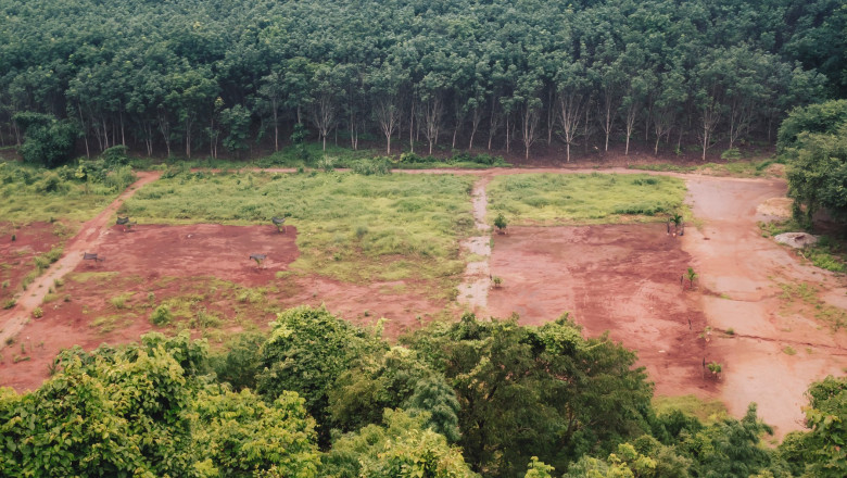 spațiu defrișat din pădurea amazoniană din Brazilia
