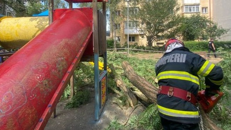 un copac s-a rupt, din cauza vântului, şi a căzut peste un loc de joacă din municipiul Suceava.