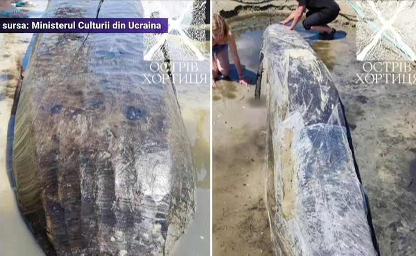 O barcă veche de 300 de ani a fost descoperită pe malul celei mai mari insule de pe Nipru, în urma distrugerii barajului Kahovka