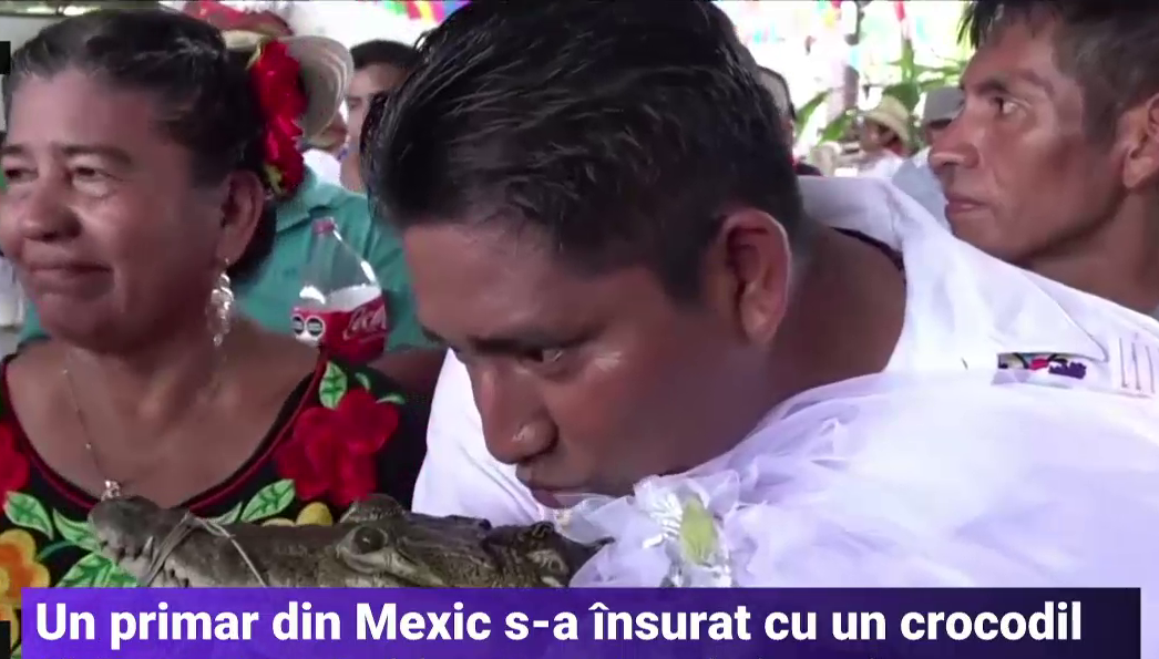 Primarul unui oraș din Mexic s-a însurat cu un crocodil. În timpul ceremoniei, nuntașii i-au cerut să sărute „mireasa”