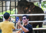 Thai Tusker Sak Surin Or Muthu Raja At The Dehiwala Zoo In Colombo, Sri Lanka - 30 Jun 2023