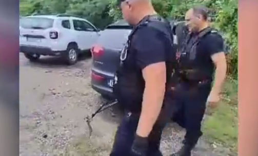 VIDEO. Un întreg județ este în alertă din cauza viperelor. Recomandările specialiștilor