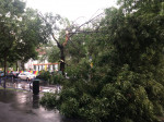 Copaci căzuți în București. Imagini foto amator