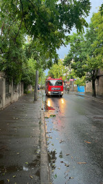 Copaci căzuți în București. Imagini foto amator
