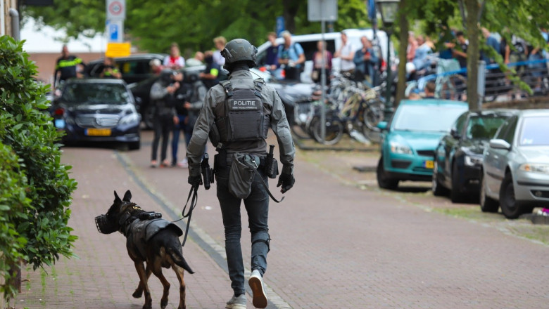 politist cu caine de urma in olanda