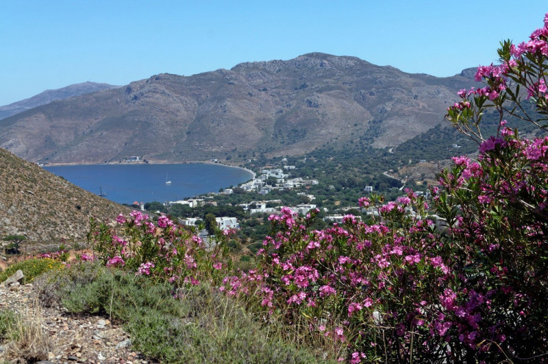 View down the main road into Livadia village with pink blossoms in foreground. Tilos, Greece cym