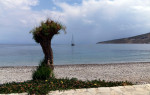 Tilos island, Dodecanese, Greece, EU. cym