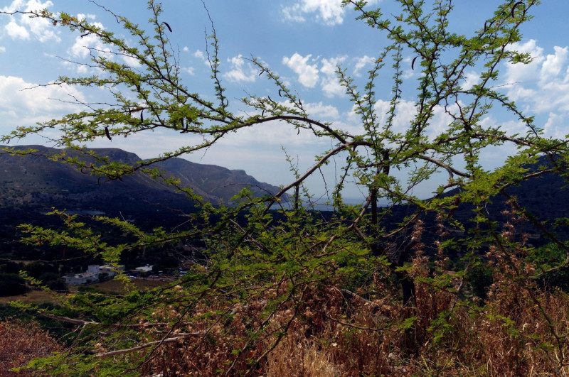 Tilos island, Dodecanese, Greece, EU