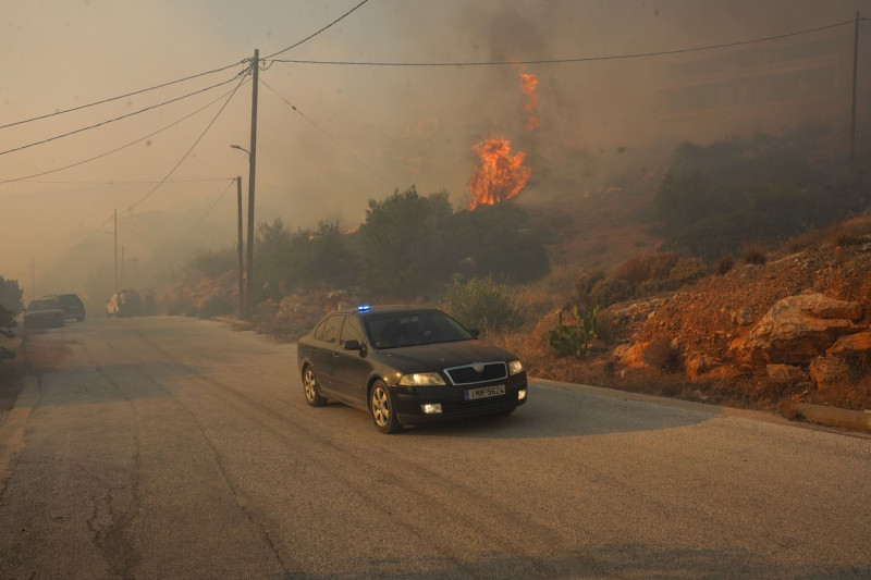 Wildlife In Southern Urban Of Attica, Greece - 16 Jul 2023