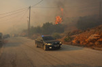 Wildlife In Southern Urban Of Attica, Greece - 16 Jul 2023