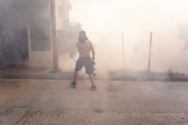 Wildlife In Southern Urban Of Attica, Greece - 16 Jul 2023