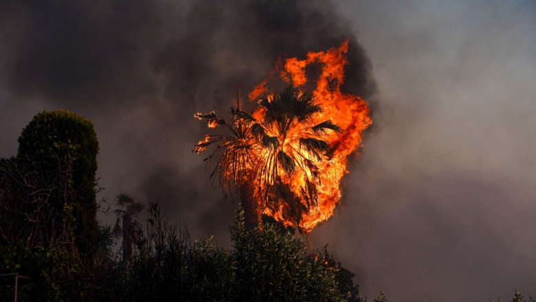 incendii in grecia