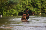 The worst flooding in the national capital in 45 years