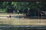 The worst flooding in the national capital in 45 years