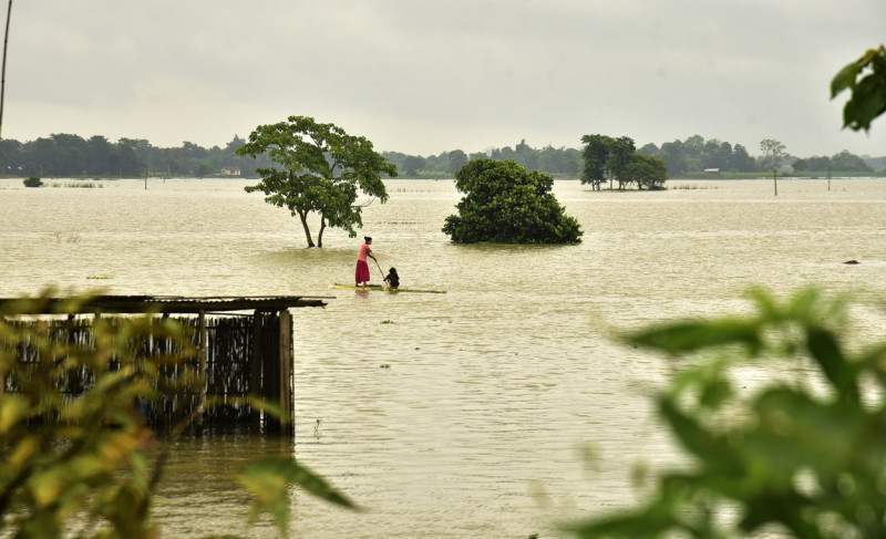 FLOOD IN ASSAM INDIA