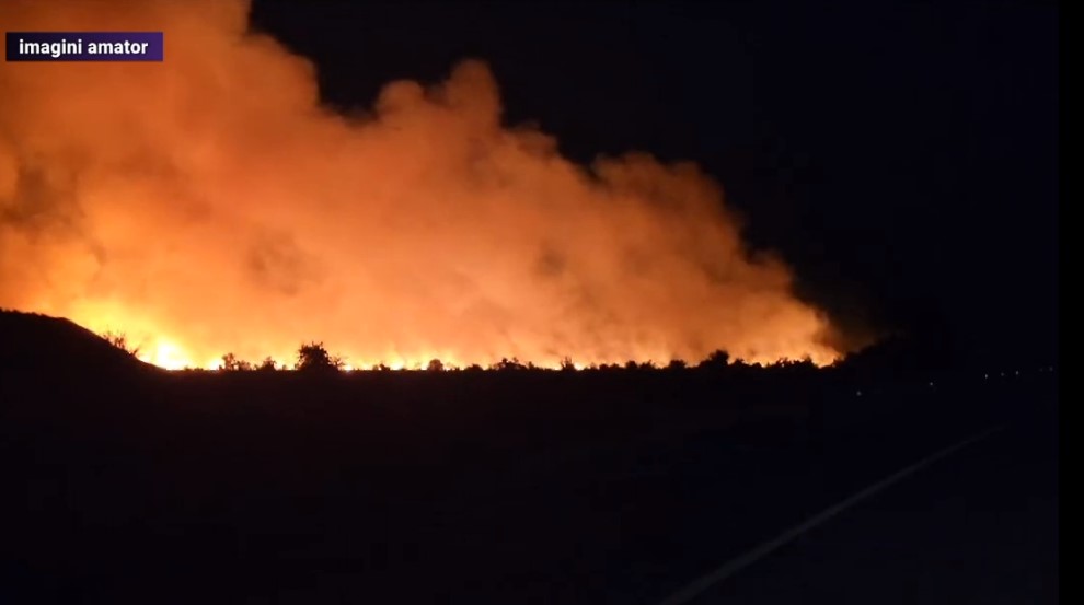 VIDEO Incendiu puternic în Constanța, lângă Penitenciarul Poarta Albă. Un câmp a luat foc