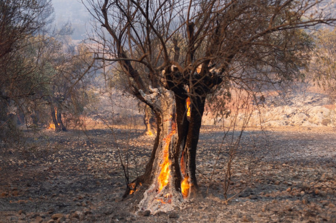 Wildfire In Western Attica, Greece - 18 Jul 2023