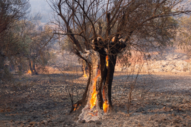 Wildfire In Western Attica, Greece - 18 Jul 2023