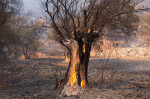 Wildfire In Western Attica, Greece - 18 Jul 2023