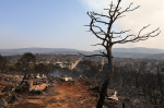 Aftermath of wildfire in Greece