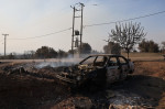 Aftermath of wildfire in Greece