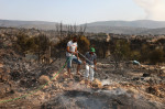 Aftermath of wildfire in Greece