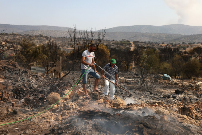 Aftermath of wildfire in Greece