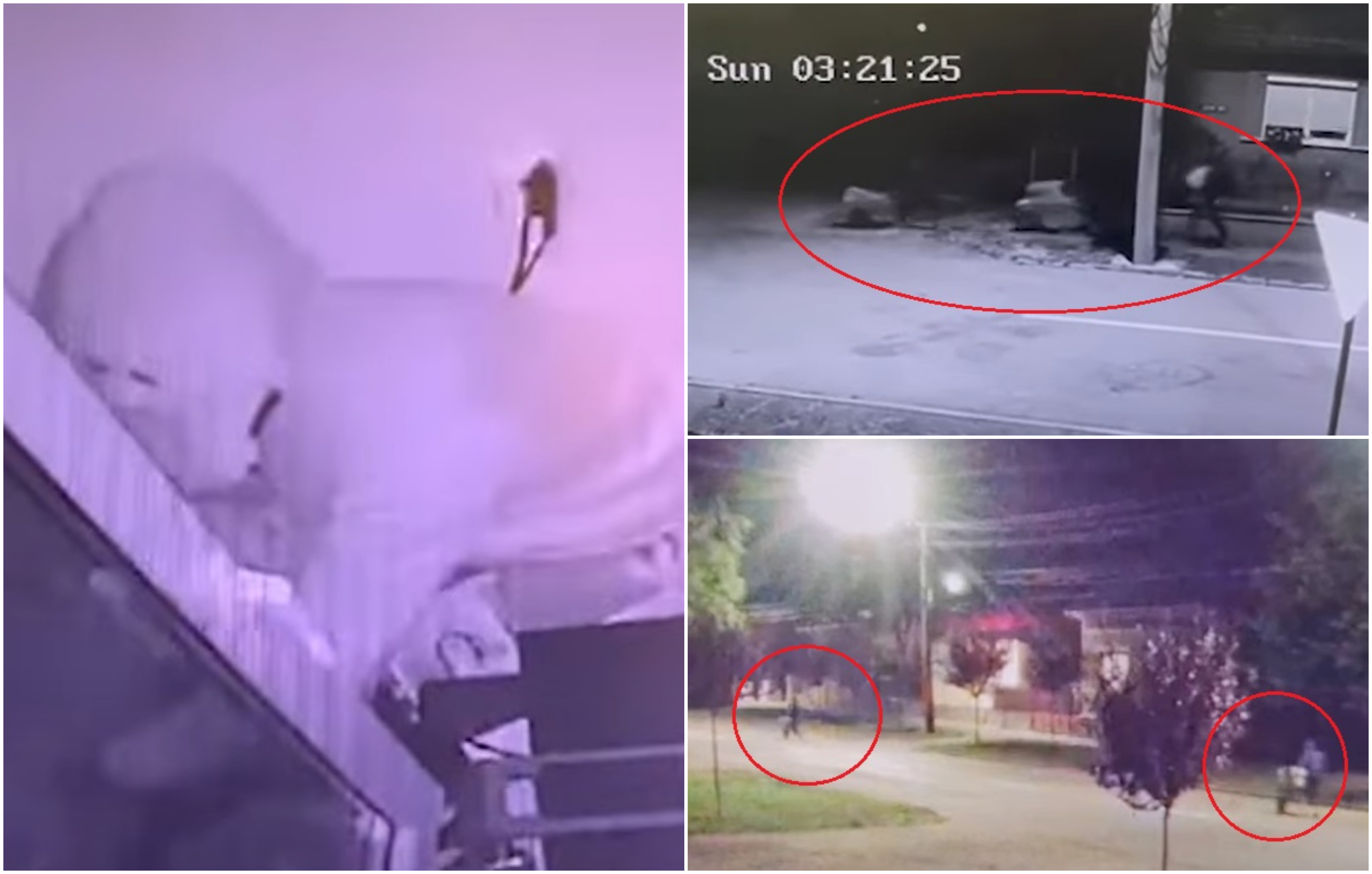 Țigări furate și cărate cu roaba pe străzile orașului Carei. Hoții, încă în libertate