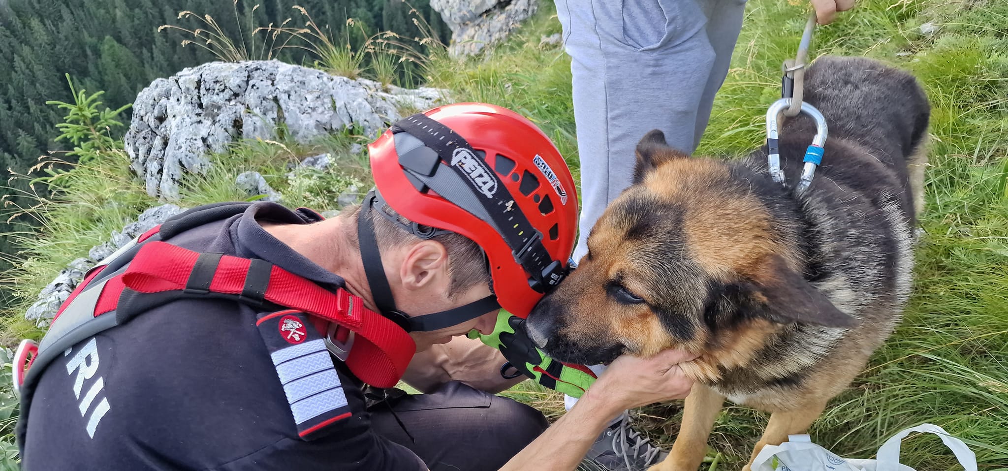 Pompierii ISU Neamț au salvat un ciobănesc german care fugise după capre și rămăsese blocat pe stânci