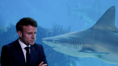 Emmanuel Macron la o conferință despre protejarea oceanelor