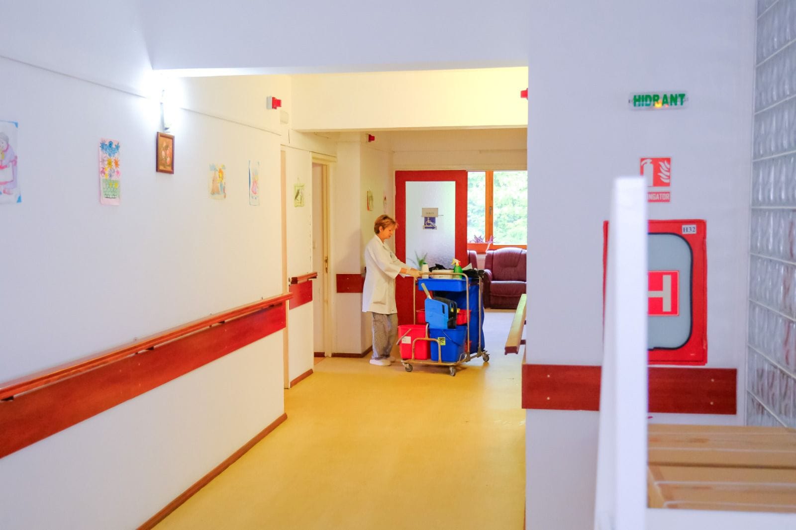Viceprimărița Brașovului acuză „distragerea atenției de la ororile comise de cei care știau ce se întâmplă” la azilul din Voluntari