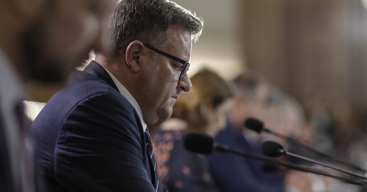 PSD vrea lege pentru plafonarea adaosului la alimente