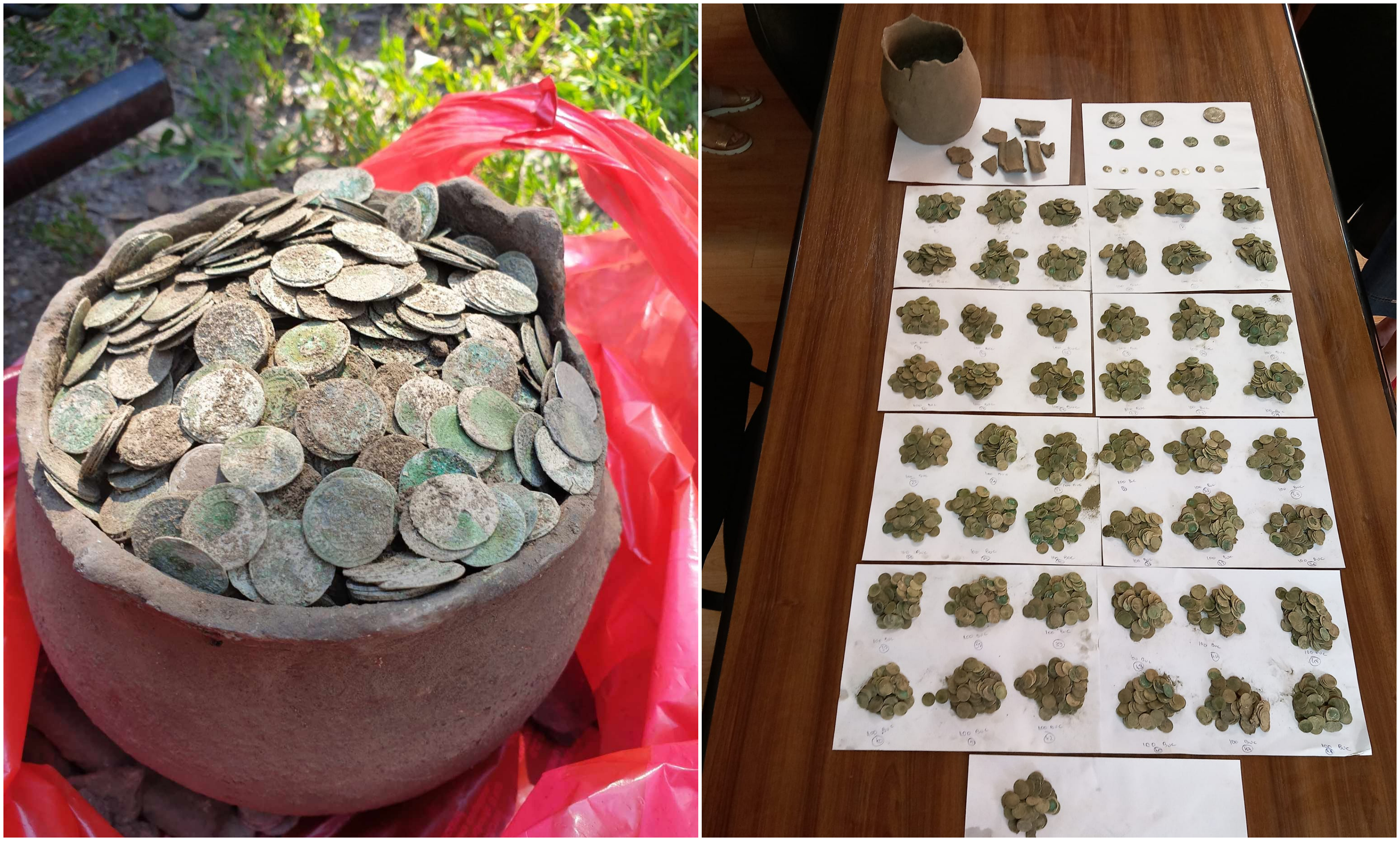 Comoară găsită într-o pădure din Bihor: aproape 5.000 de monede, vechi de 500 de ani. "Ne-au dat lacrimile de bucurie"