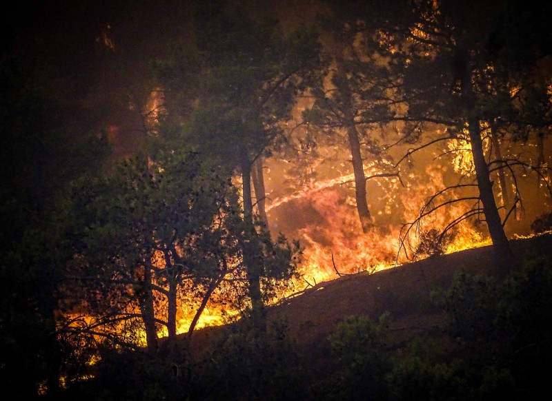 GREECE RHODES ISLAND WILDFIRE