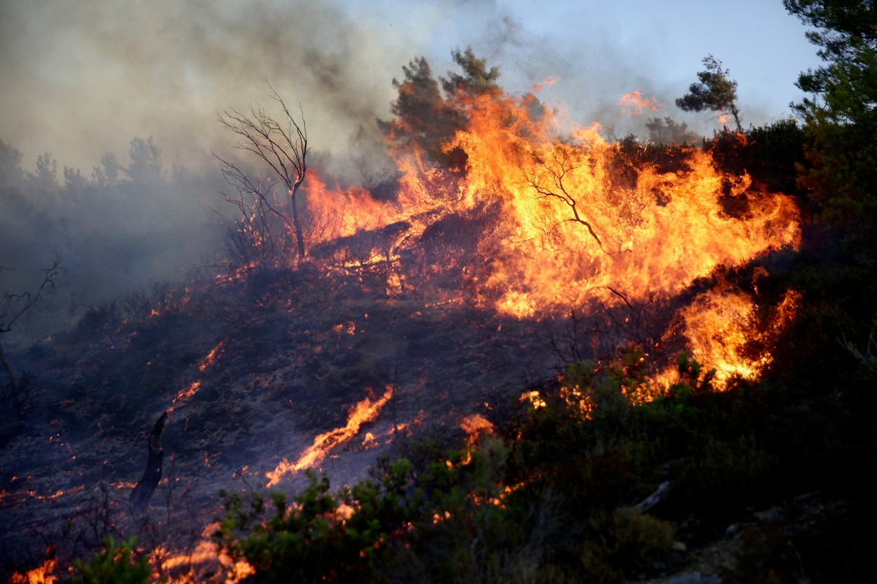 Crește bilanțul morților în Grecia, în urma incendiilor de vegetație. Un crescător de animale a fost găsit ars într-o baracă