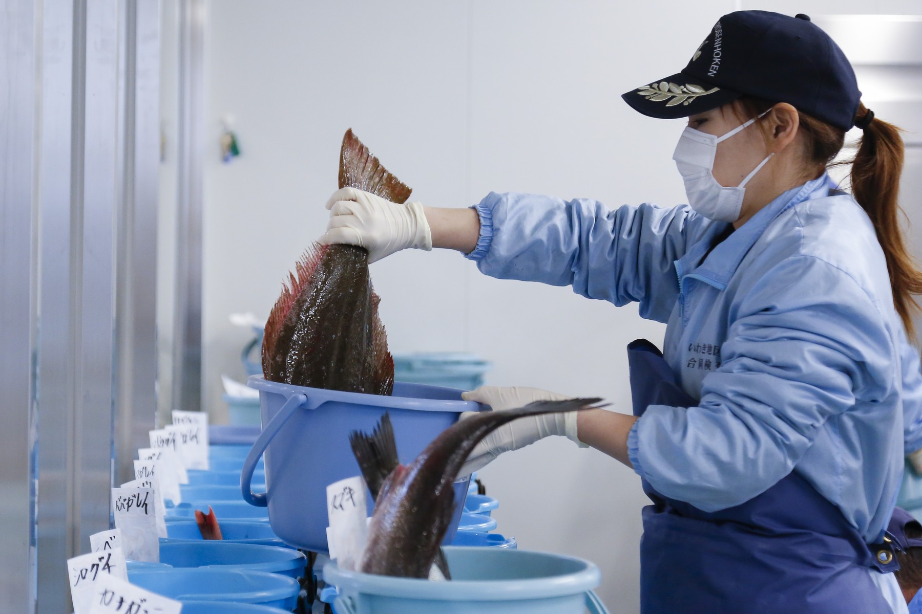 China a interzis toate importurile de produse „cu origine acvatică” din Japonia, după ce apa de la Fukushima a fost aruncată în ocean