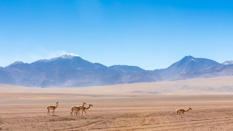 Deșertul Atacama din Chile