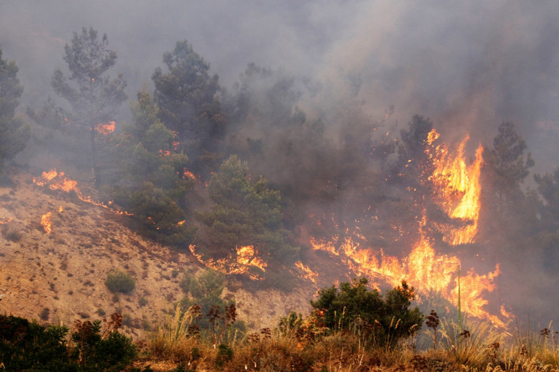 Italy, Alcamo ( Trapani - Sicily): The heat wave and drought are favoring numerous fires throughout Sicily.. Alcamo woods still in fire